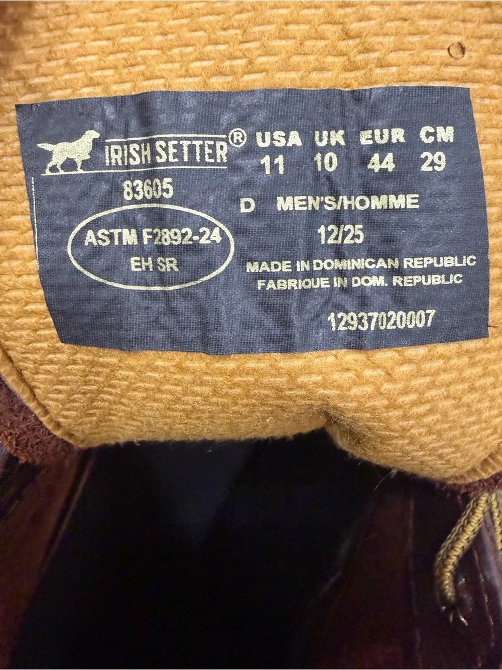 Irish Setter step into